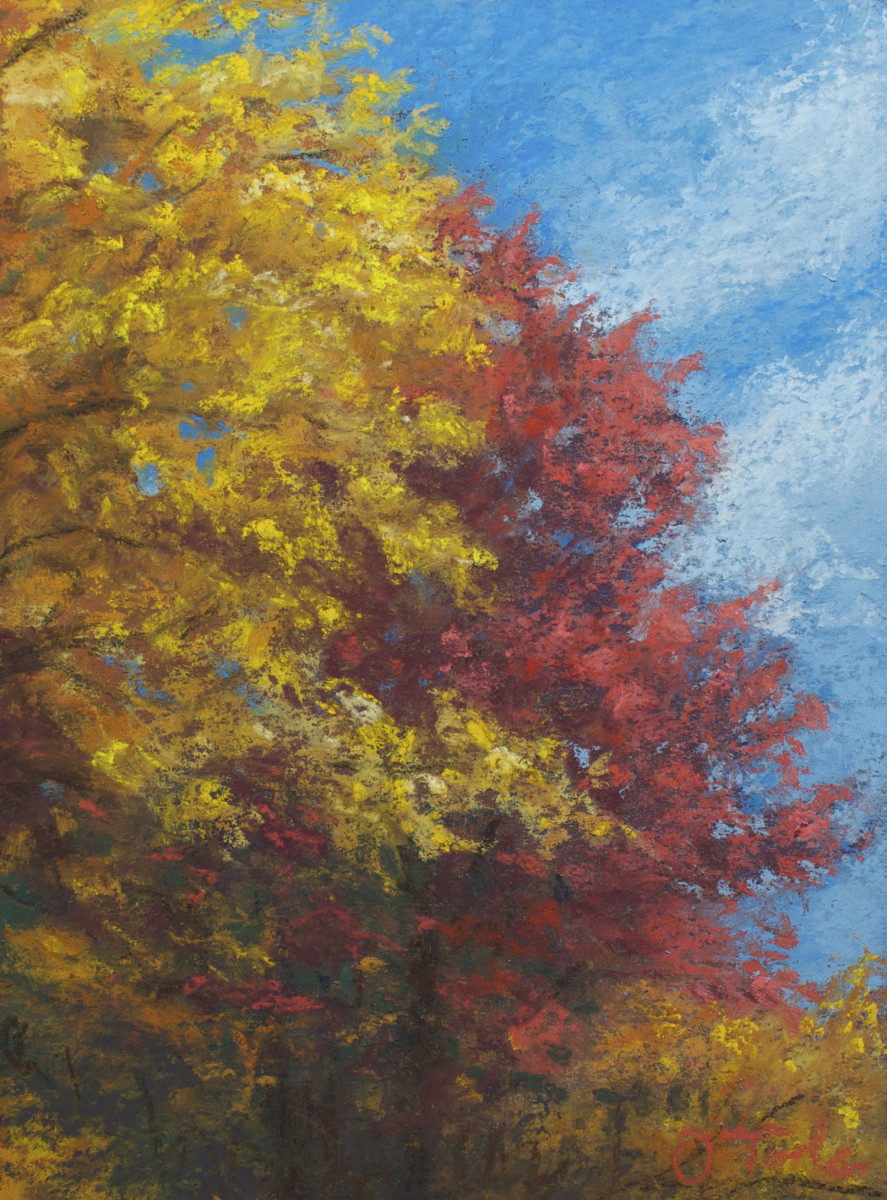 Brilliant Leaves by Brenna O'Toole 