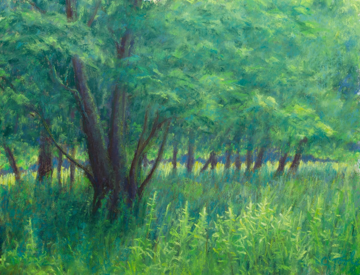 Shady Copse by Brenna O'Toole, Image 1.