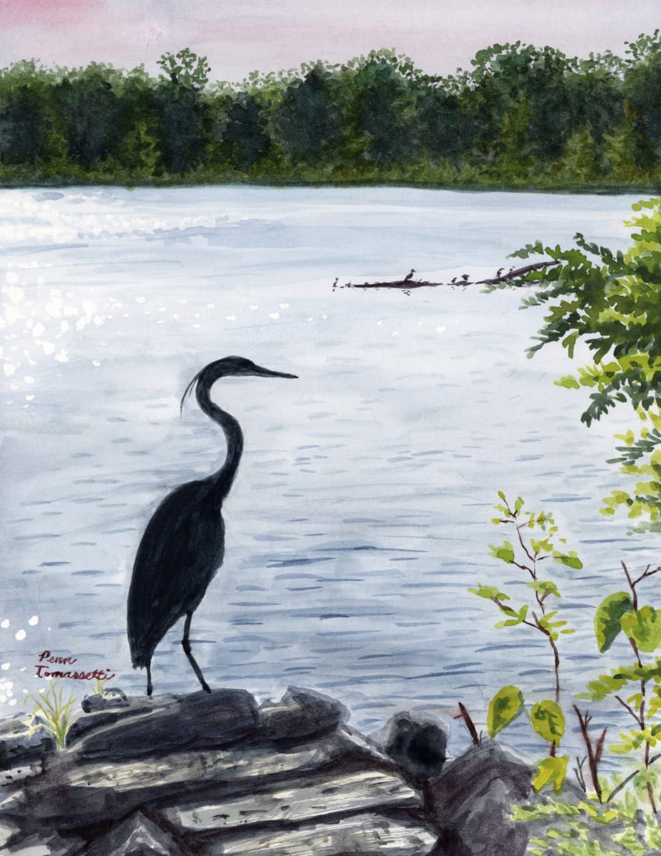 Perched at North East Park by Penn Tomassetti 