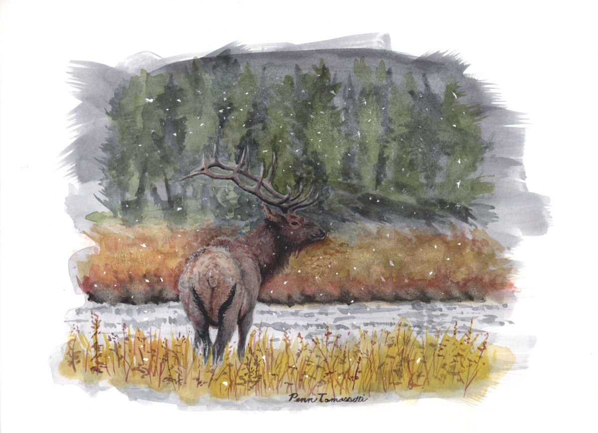 Bull Elk by a Snowy River by Penn A. Tomassetti 