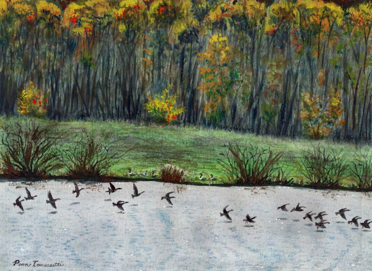 Autumn Landing by Penn Tomassetti, Image 2.