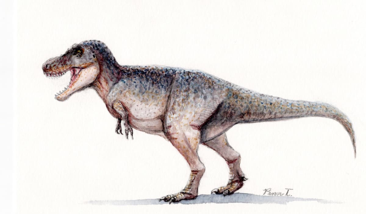 Tyrannosarus rex by Penn A. Tomassetti 