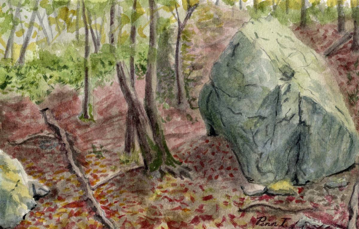 Boulder on the Welsh Mountain, Lancaster Co., PA by Penn A. Tomassetti 