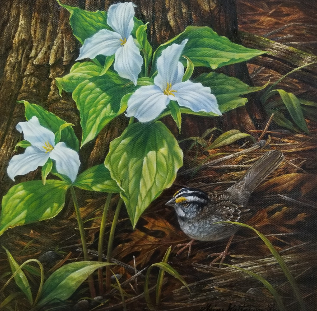 "Secret Sanctuary " by Elaine Guitar  