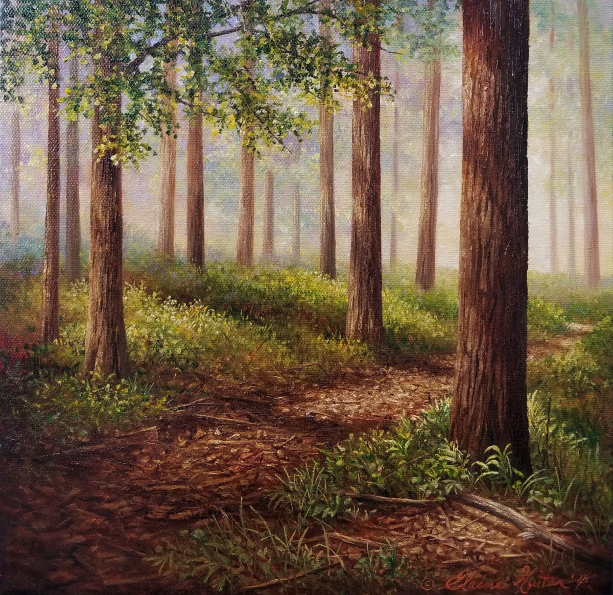 "Woodland Shadows" by Elaine Guitar  