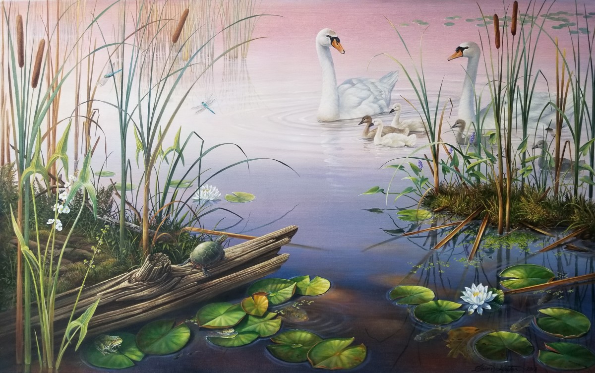"Wetland Window " by Elaine Guitar  