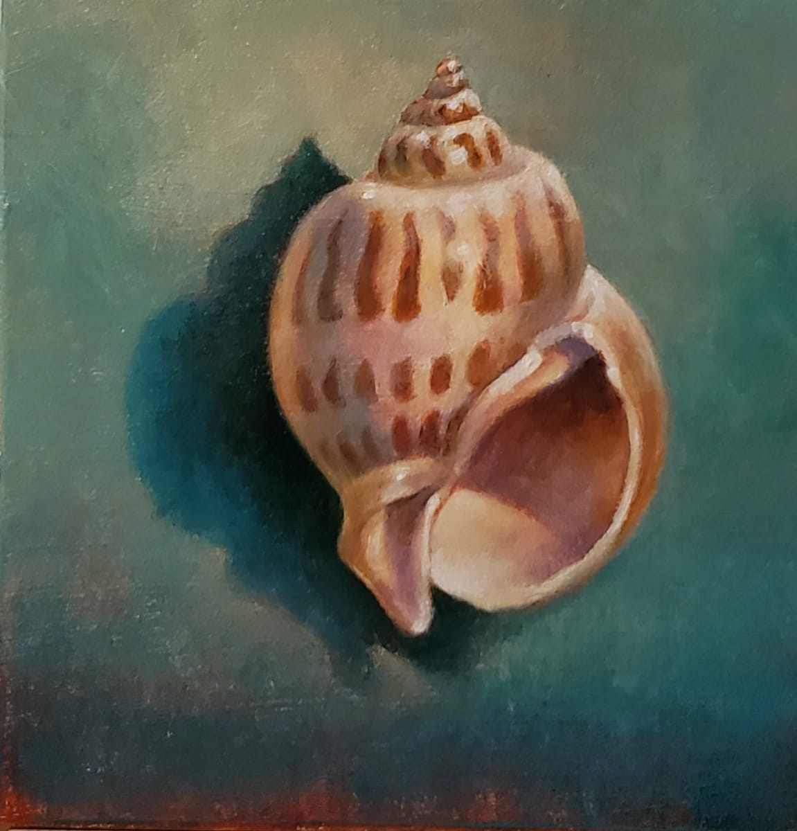 "Shell #1" by Elaine Guitar   Image: Enjoyed working on paintings of my shell collection for Strada Easel Challenge 