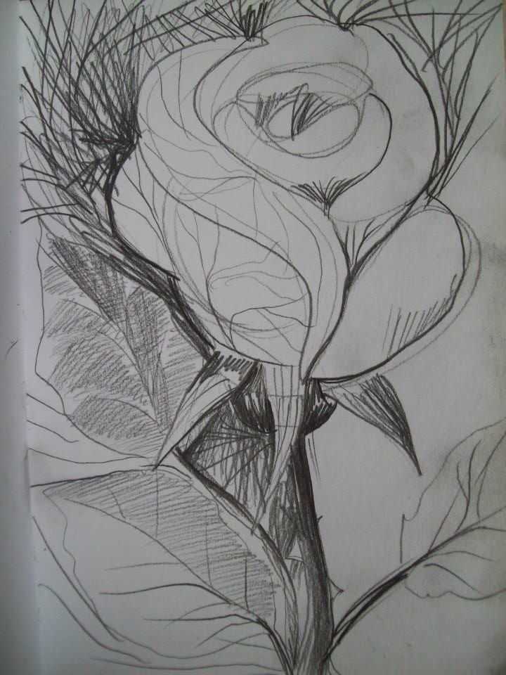 Rose by Gallina Todorova, Image 1.