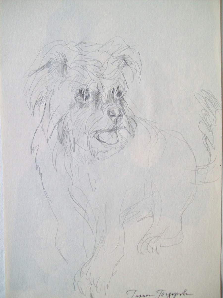 Smiling Dog by Gallina Todorova, Image 1.