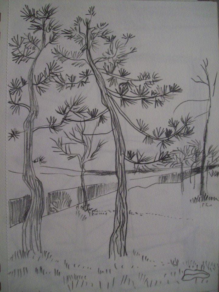 Trees by Gallina Todorova 
