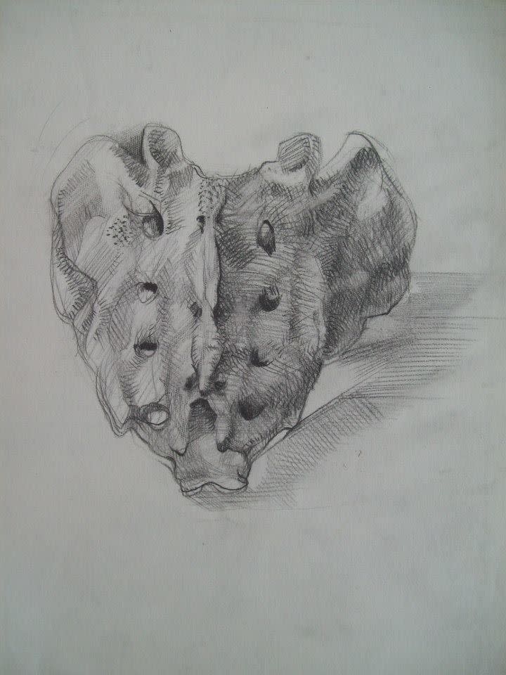 Human tail bones  by Gallina Todorova 