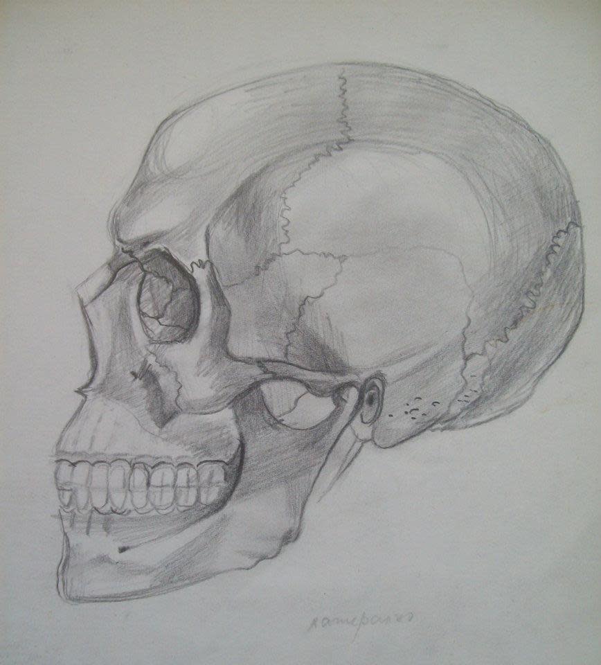 Human Skull by Gallina Todorova 