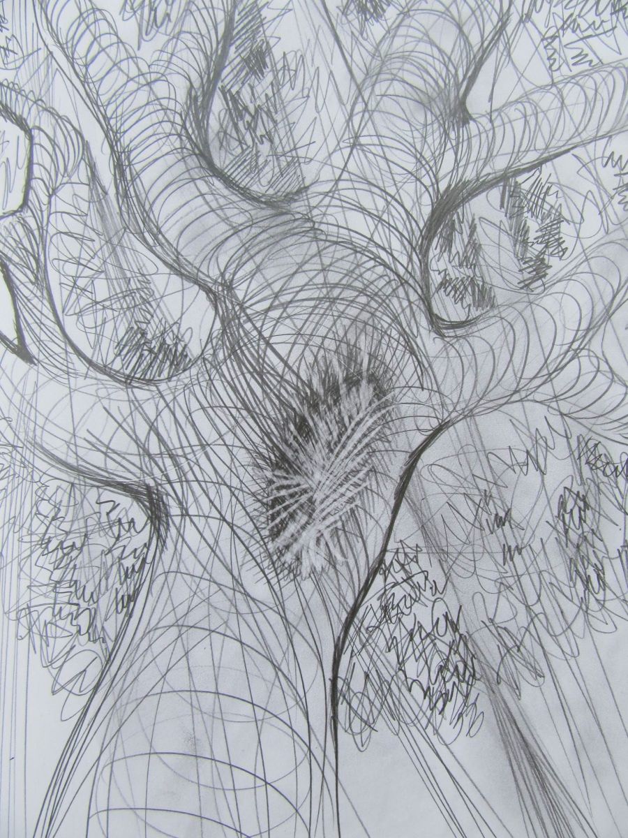 Tree with a hollow by Galina Todorova 