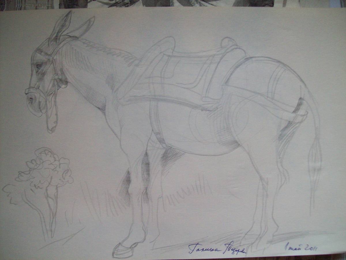 Donkey by Gallina Todorova, Image 1.