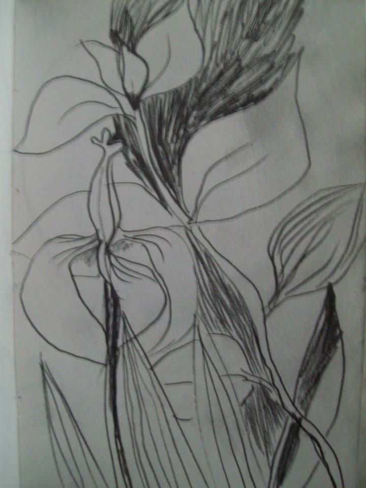 Plants by Gallina Todorova, Image 1.