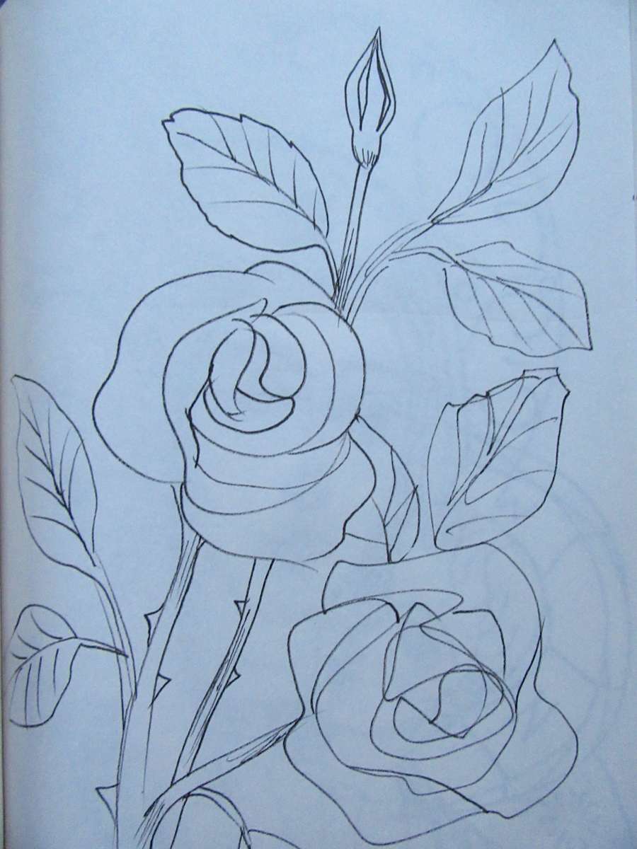 Roses by Galina Todorova 