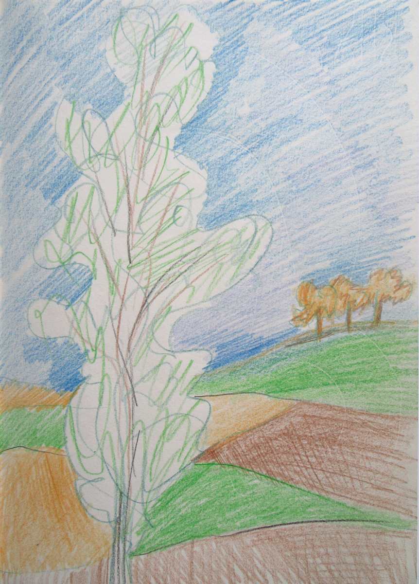 Colour pencils Lanscape with poplar three by Galina Todorova 