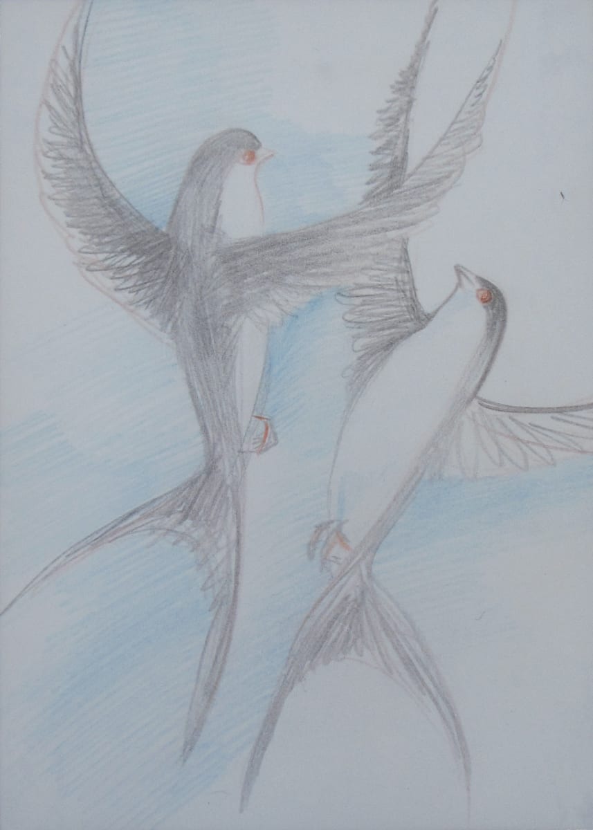 Swallows by Gallina Todorova 
