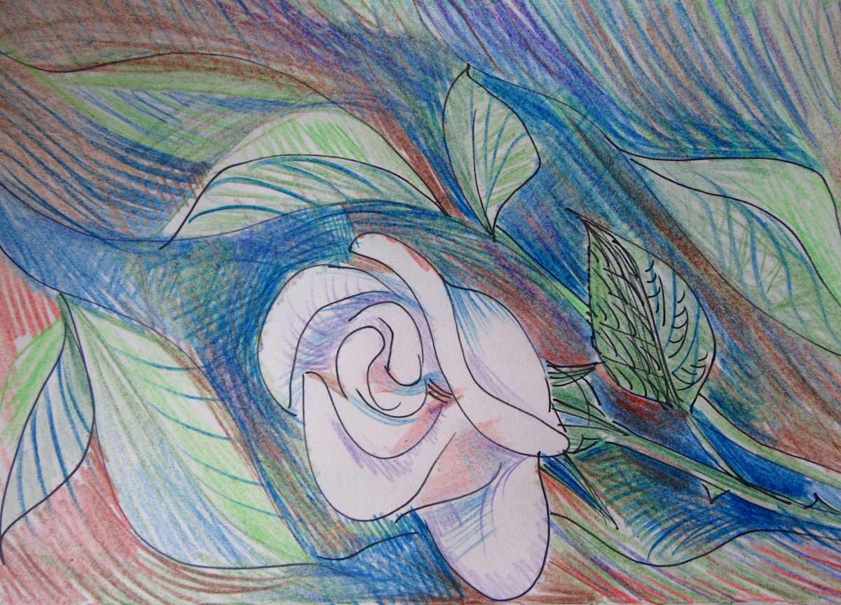 Floating Rose by Gallina Todorova, Image 1.