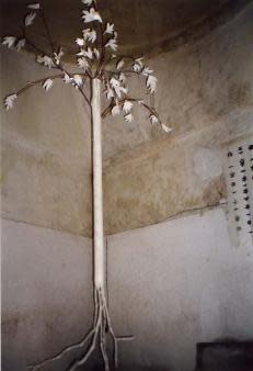 Life above / The tree by Gallina Todorova 