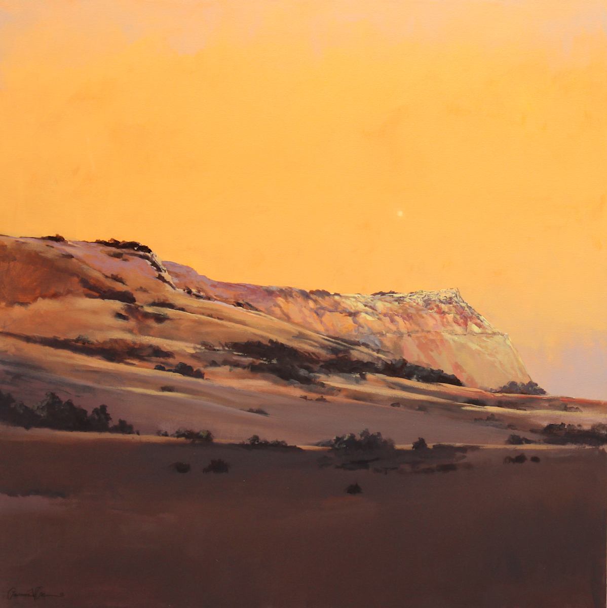 Amber Sky by Lawrence Lee 