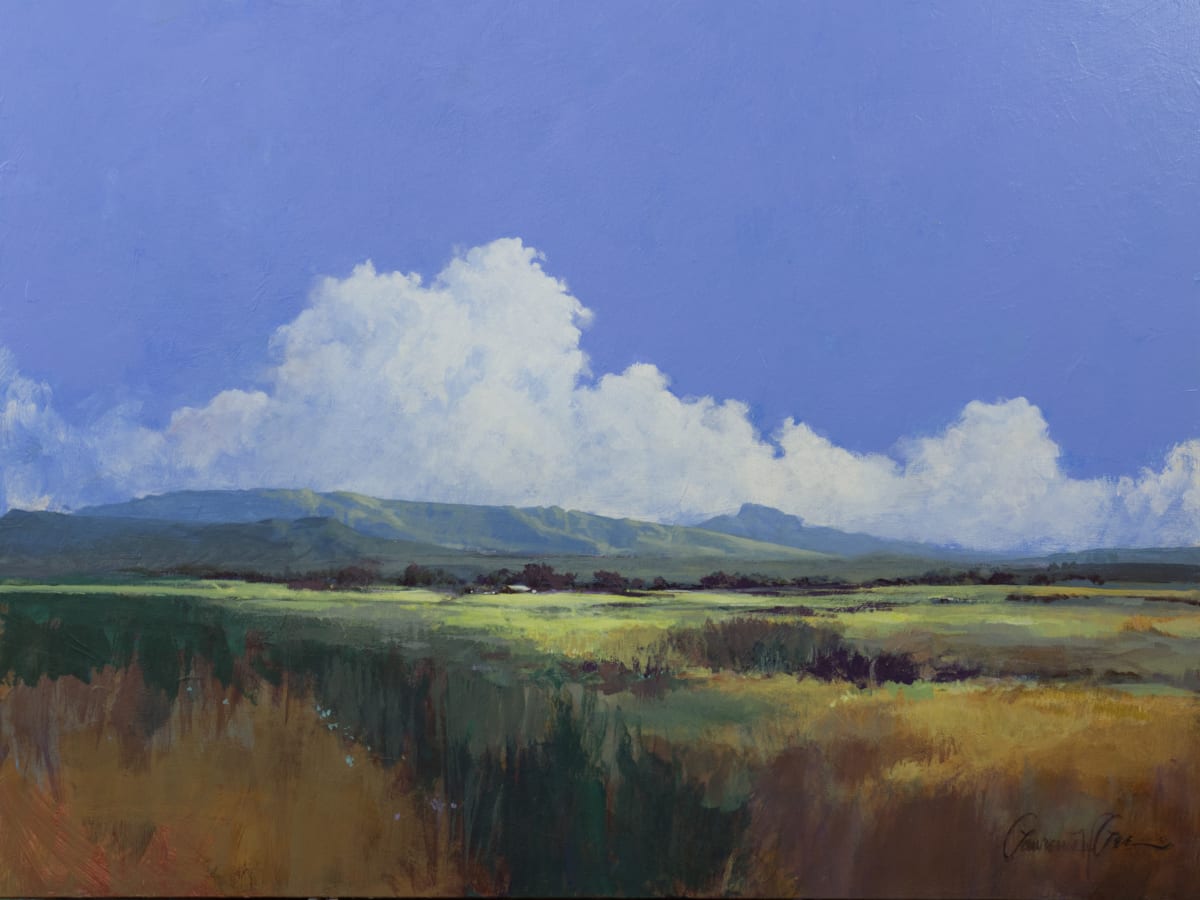 Arroyo Torcido by Lawrence Lee 