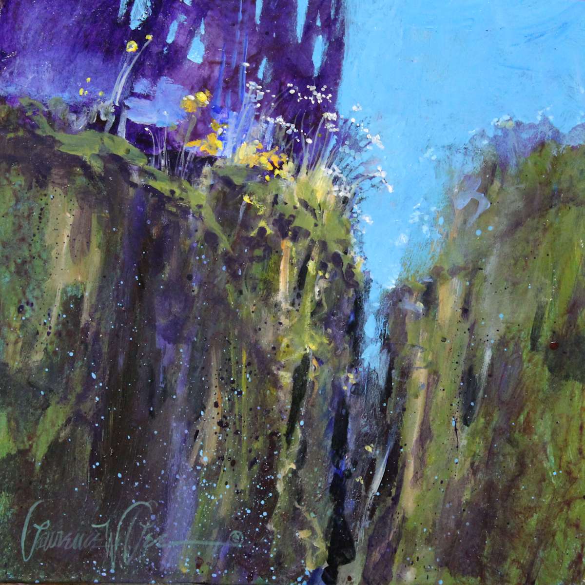 Cleft Miniature by Lawrence Lee, Image 1.
