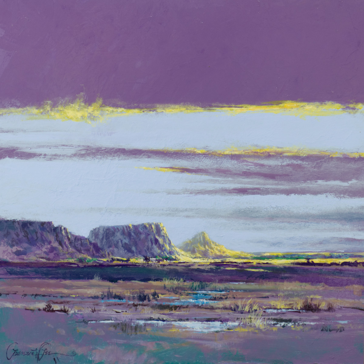 Desert Rain Passing by Lawrence Lee 