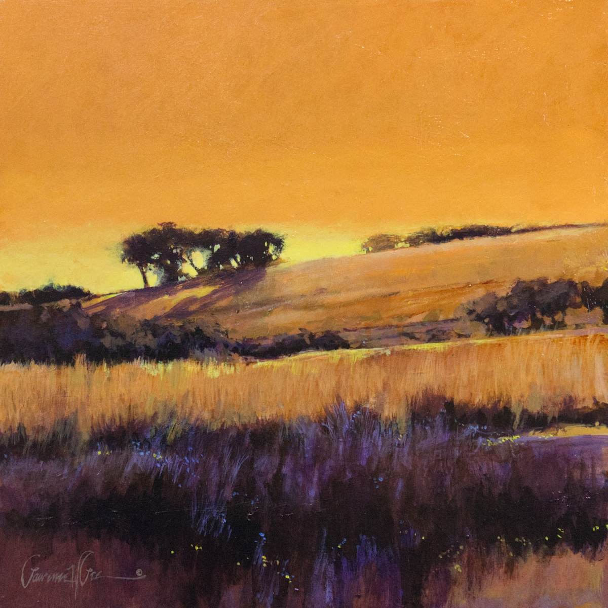 Early Summer Sunset, Image 1.