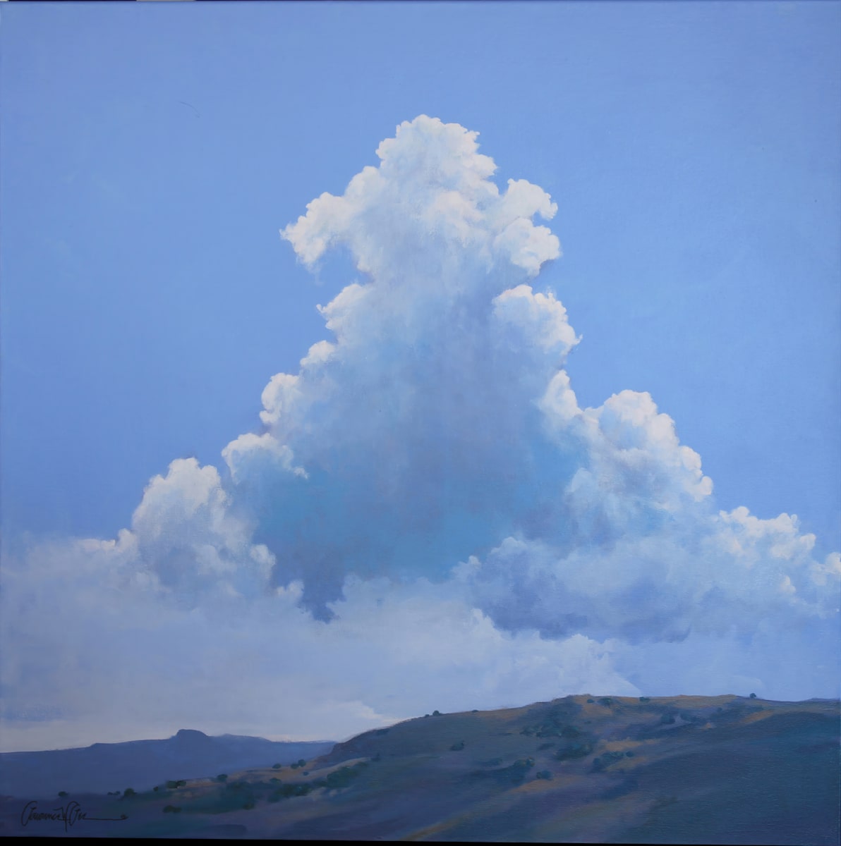 Monsoon Magic by Lawrence Lee 