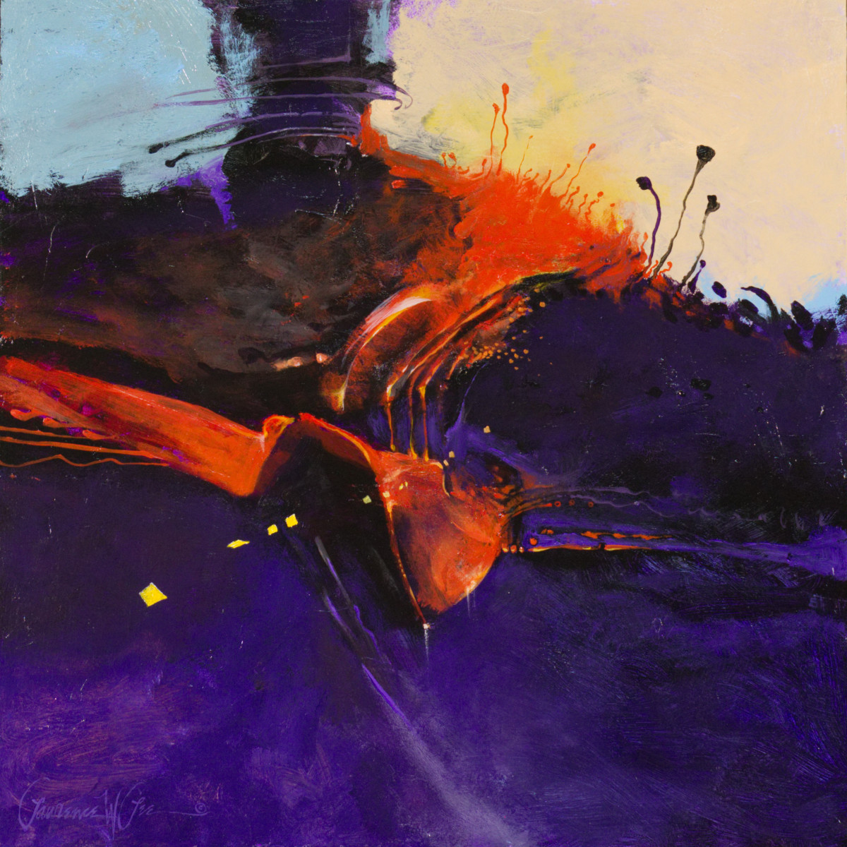 Procyon by Lawrence Lee 