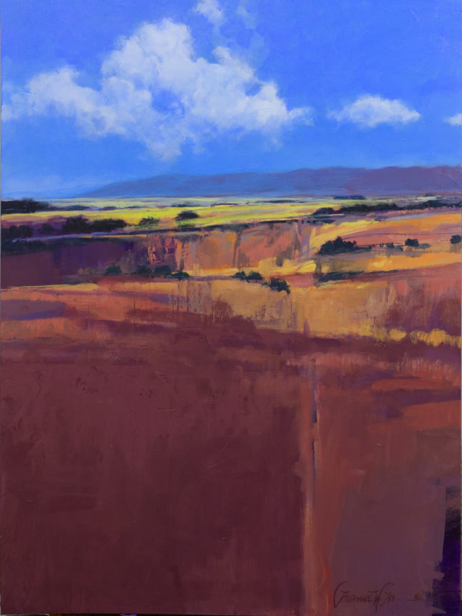 Sonora Afternoon by Lawrence Lee 