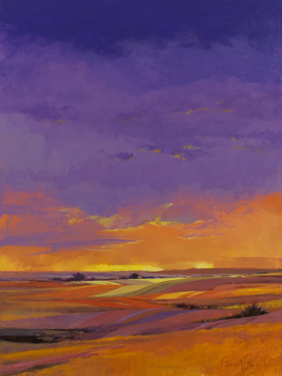 Sonora Storm by Lawrence Lee 