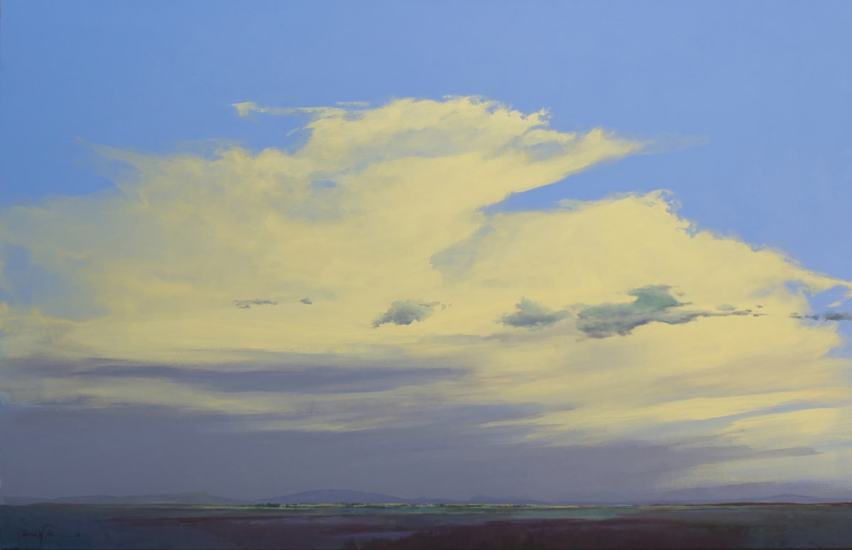 Sonora Summer Afternoon by Lawrence Lee 