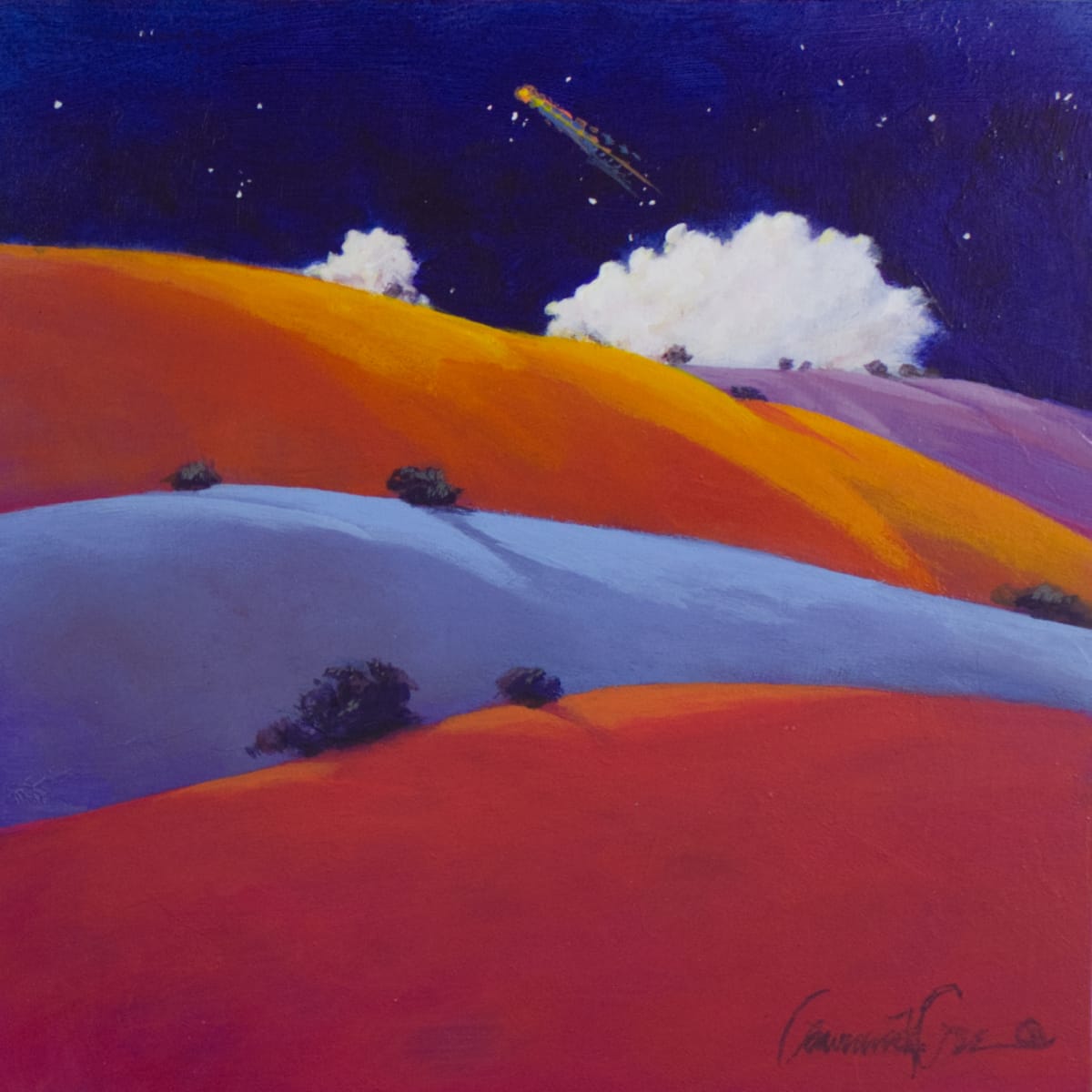 Visiting Star by Lawrence Lee 