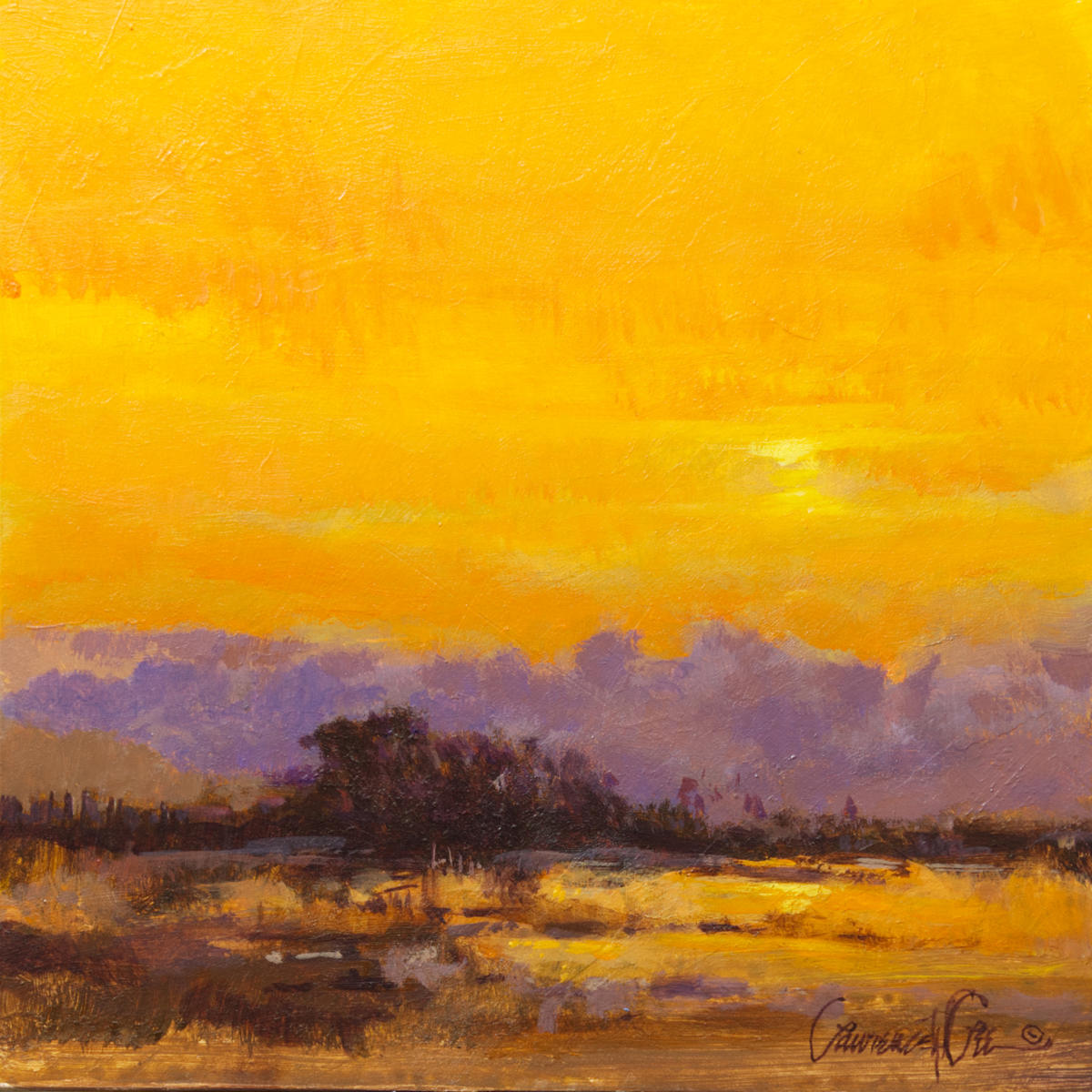 Yellow Morning, Image 1.