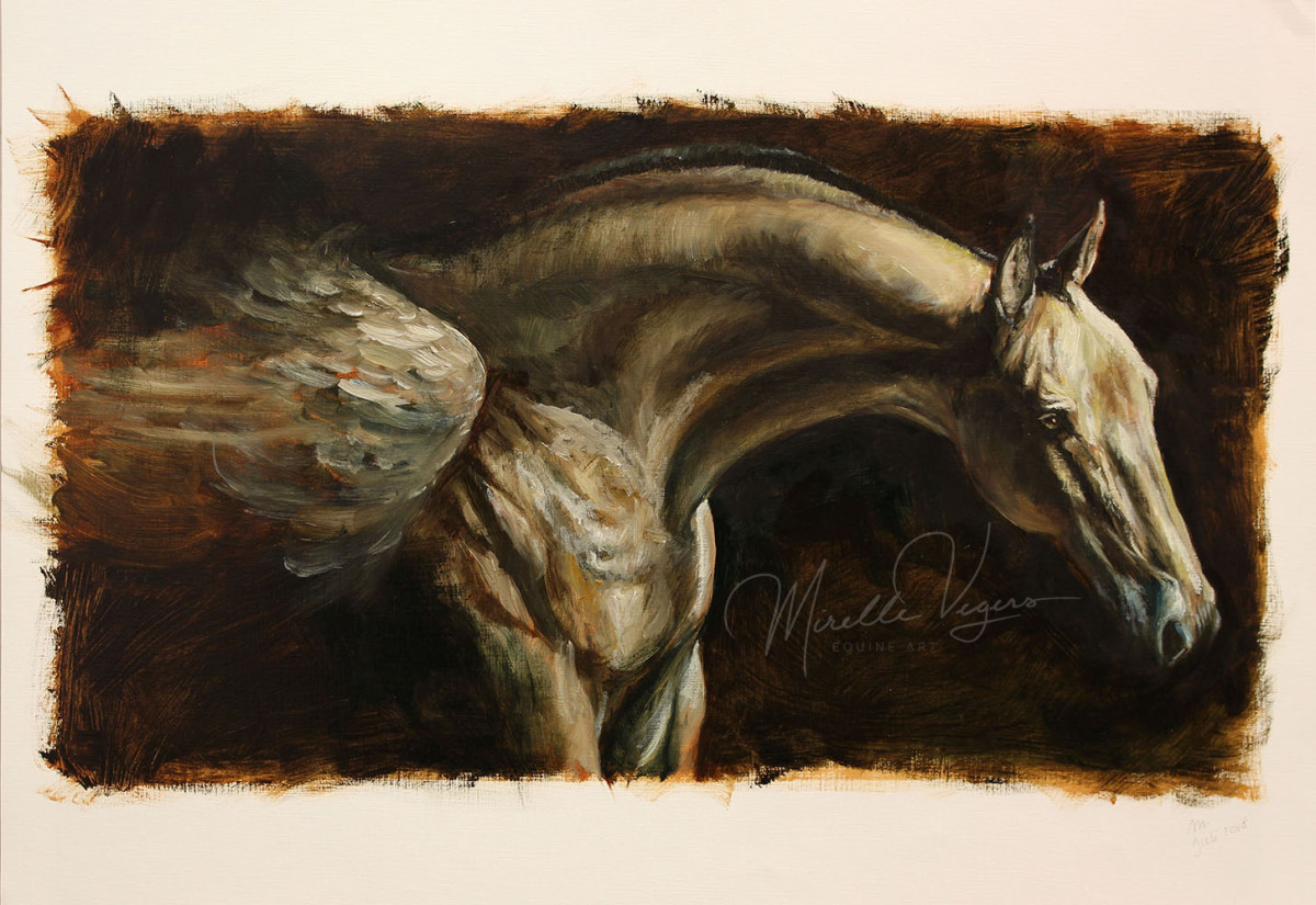 Akhal Teke by Mirelle Vegers 