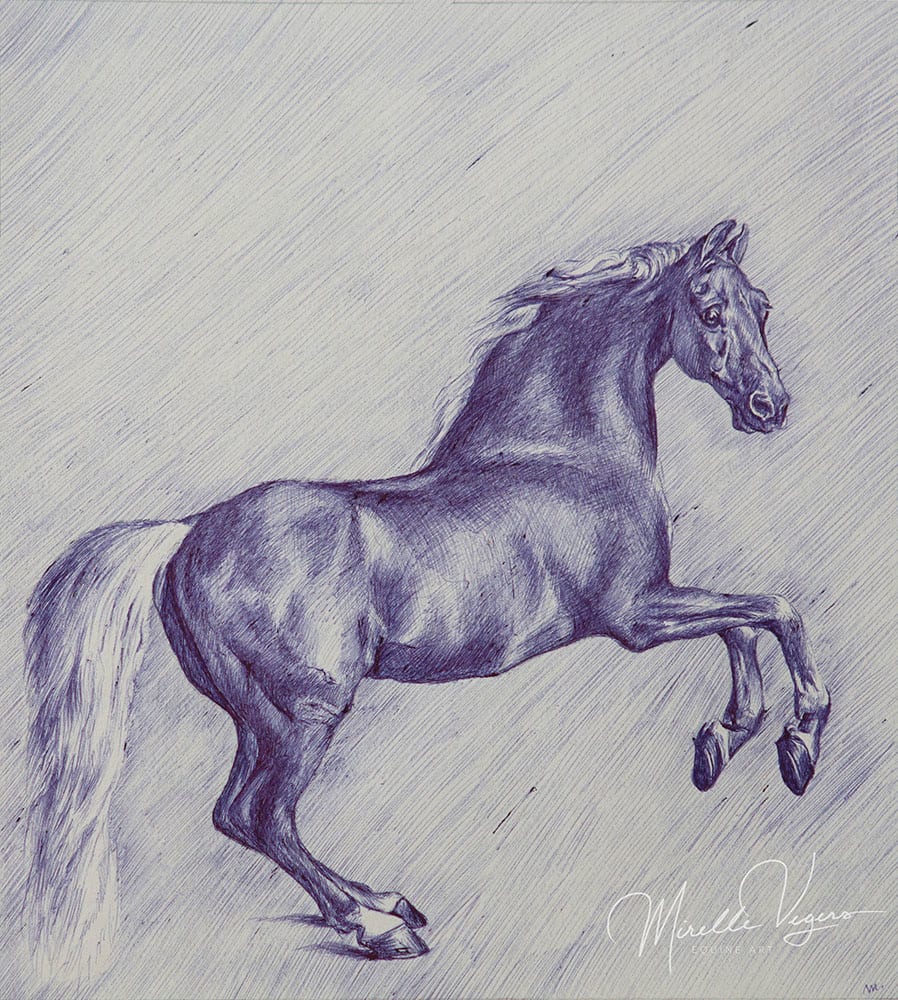 Whistlejacket by Mirelle Vegers, Image 2.