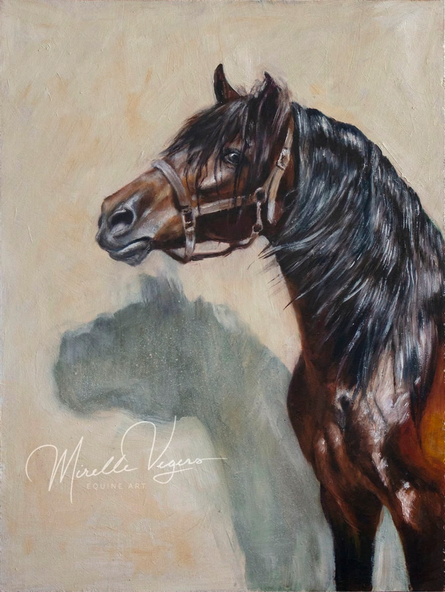 La sombra by Mirelle Vegers, Image 1.