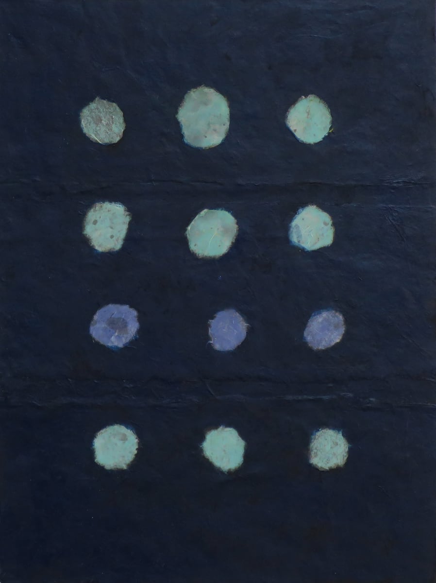 Panori by Janine Brown 