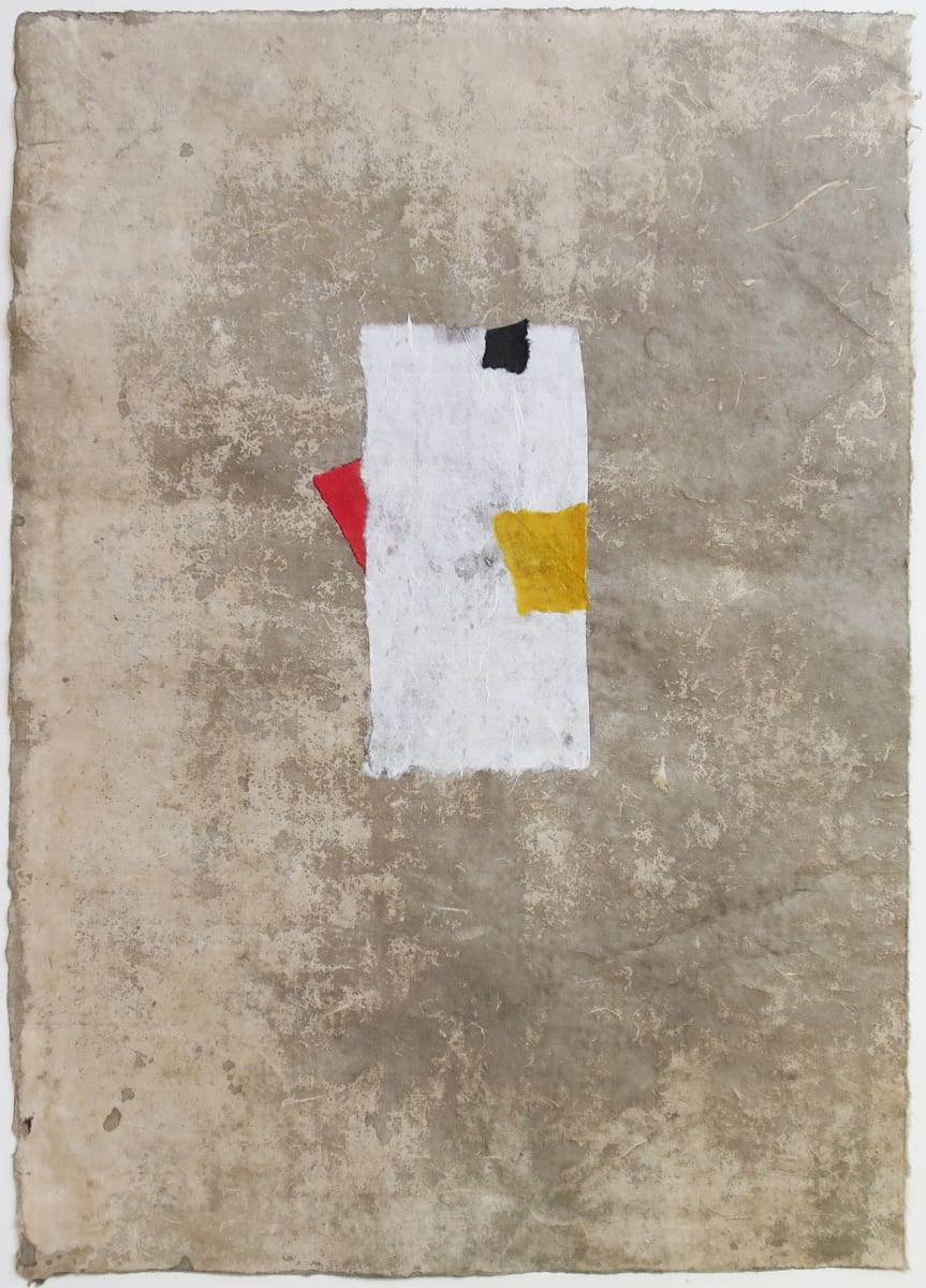 Durfin by Janine Brown 