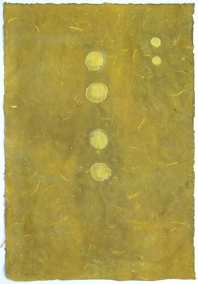 Gold Sutra by Janine Brown, Image 2.