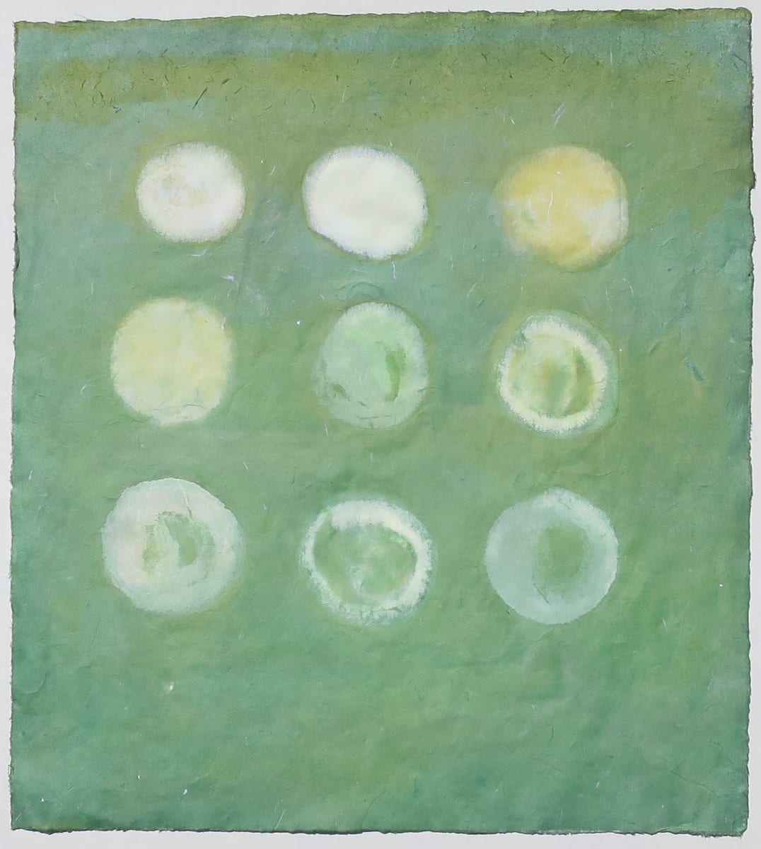 Green Mobi by Janine Brown, Image 1.