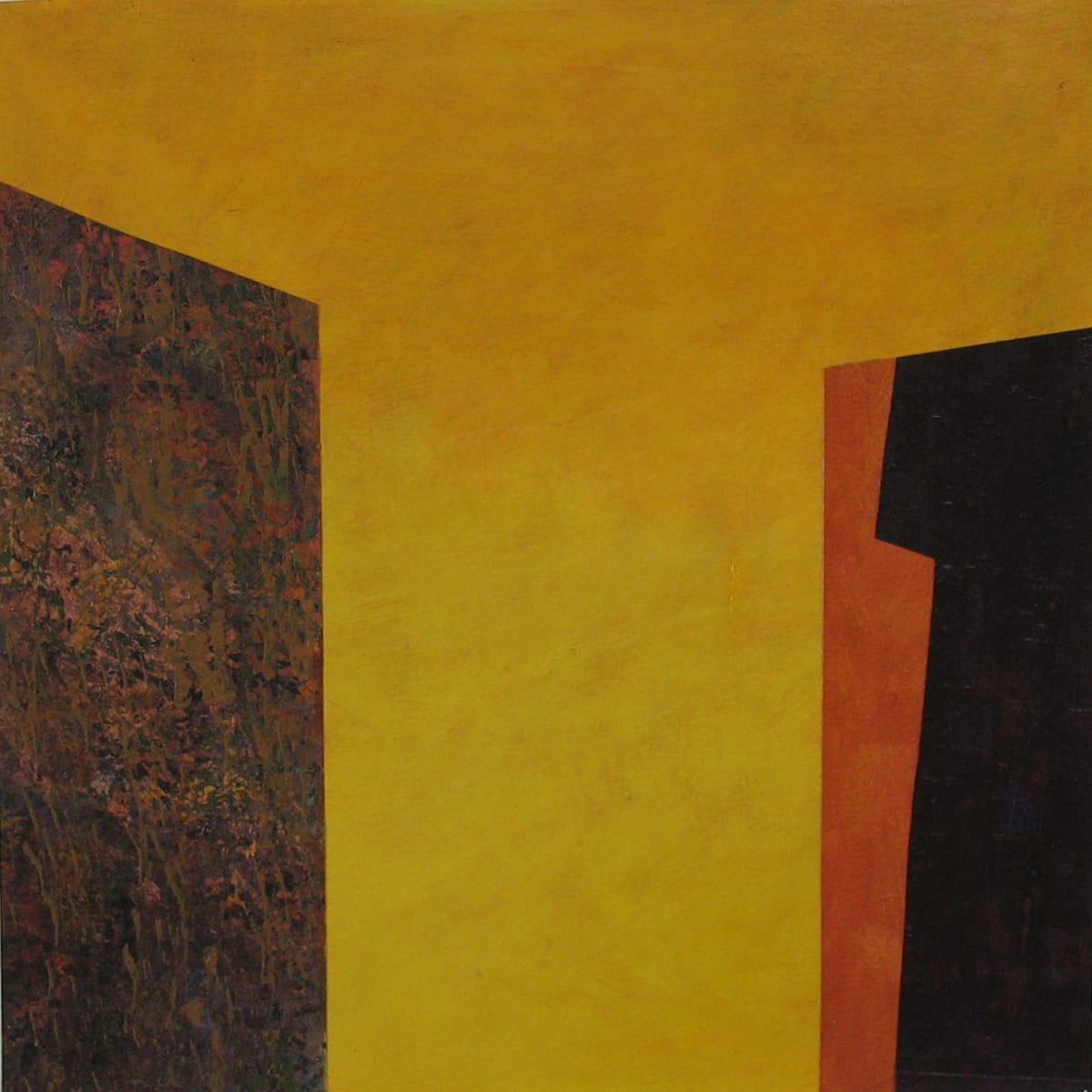 Shen by Janine Brown 