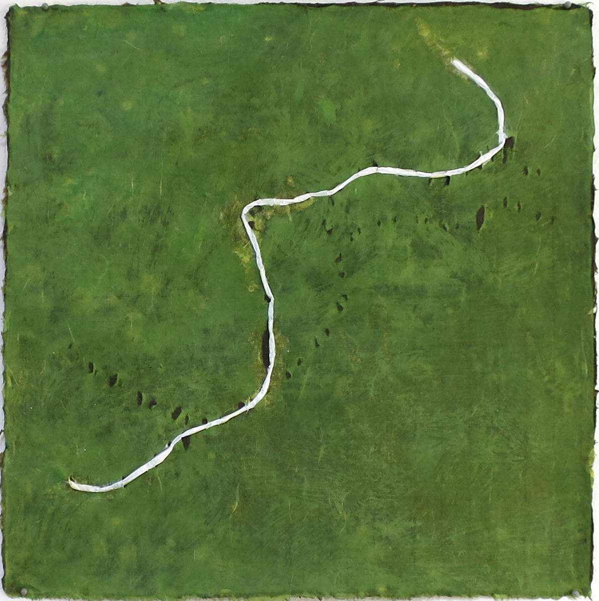 Zooly 6 by Janine Brown 