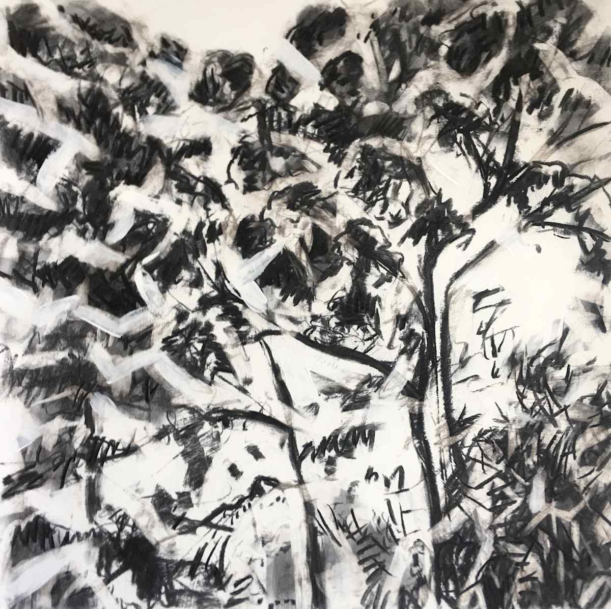 Canopy 2 by Barbara Aroney, Image 1.