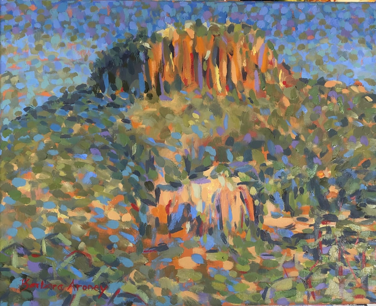Sentinel, Image 2.