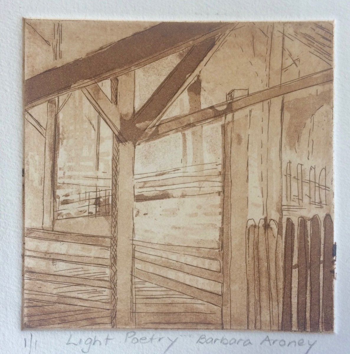 Light Poetry by Barbara Aroney 