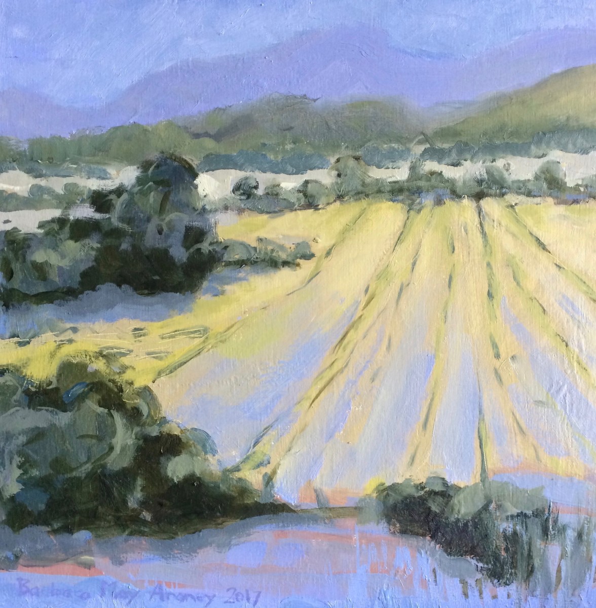 Peterborough Study by Barbara Aroney 