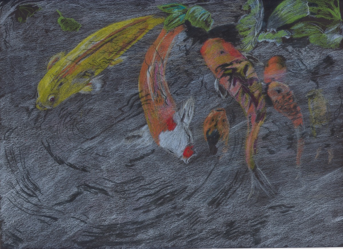 "Koi at Biodome 577" by Candace Hardy 